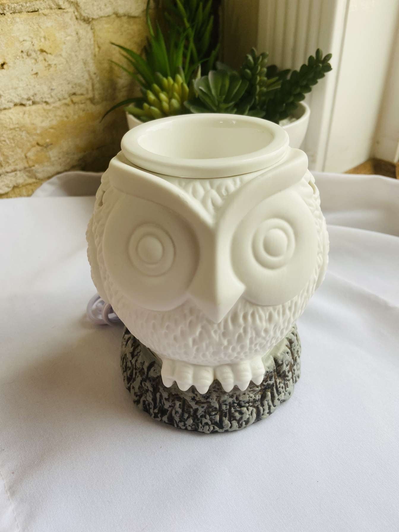 Owl wax melter